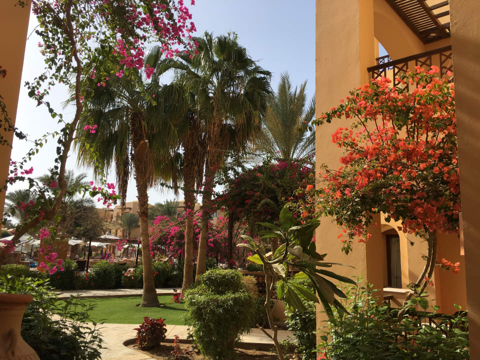 Gartenanlage Steigenberger Coraya Beach - Adults only