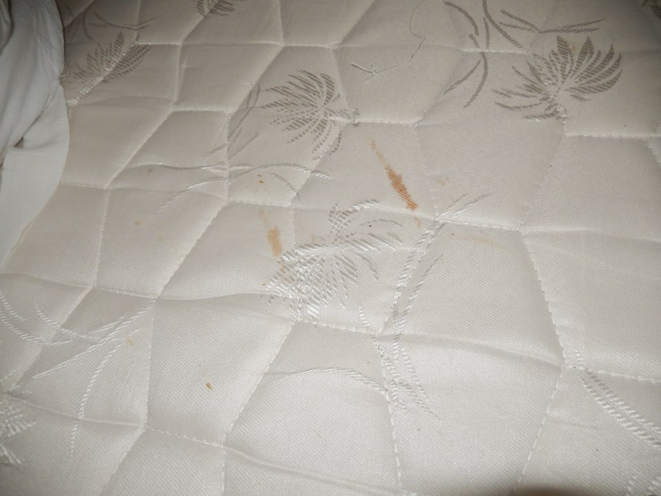 Zimmer Aleria Belport Beach Hotel