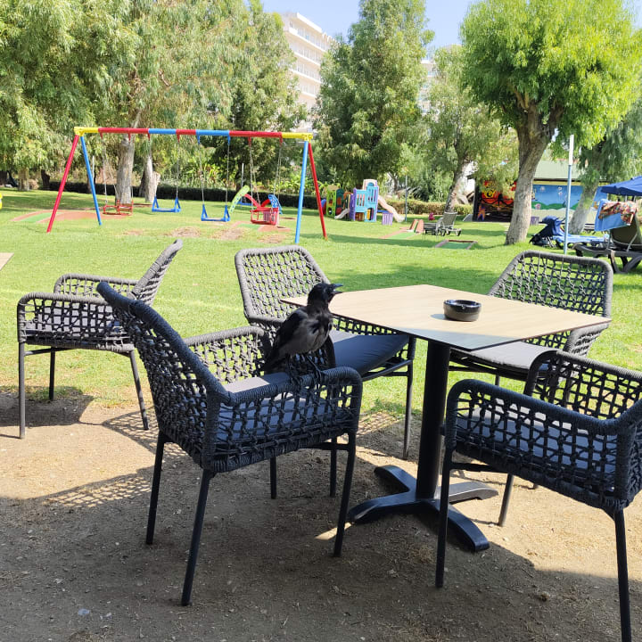 Sport & Freizeit Hotel Calypso Beach