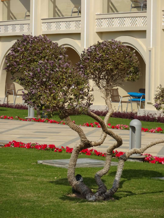Gartenanlage Pickalbatros White Beach Resort - Hurghada