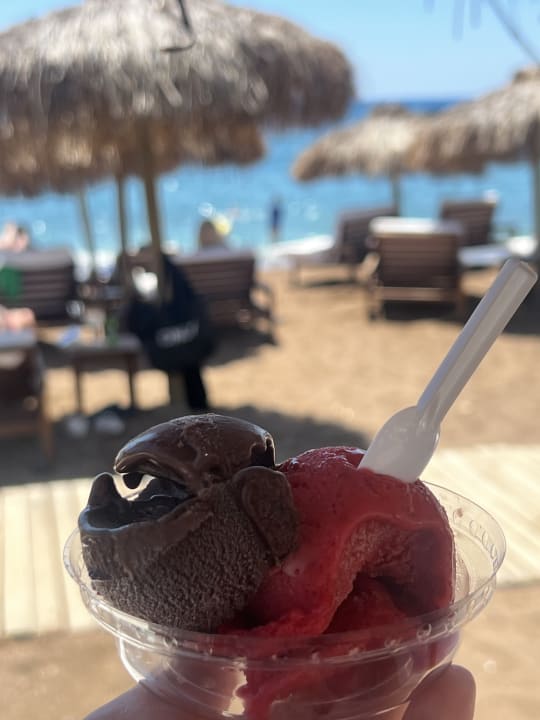 Gastro Rubi Platinum Sign