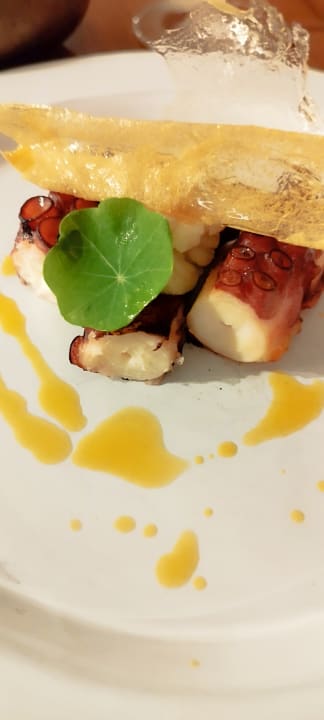 Gastro Acanthus Cennet Barut Collection