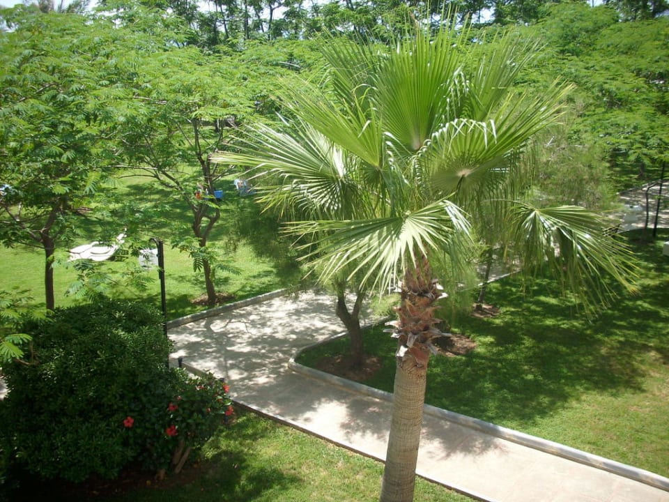 Zimmerausblick Labranda Alantur Resort