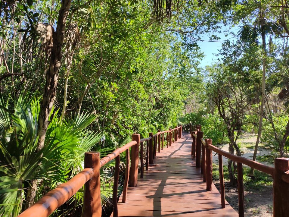 Gartenanlage Grand Palladium Select White Sand Resort & Spa