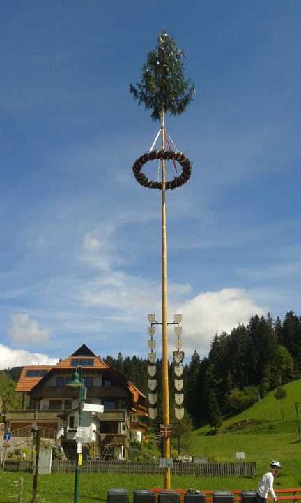 Maibaum vorm Hotel Naturparkhotel Adler
