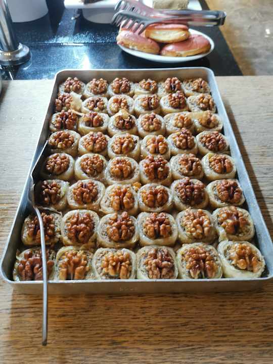 Gastro Seashell Vega