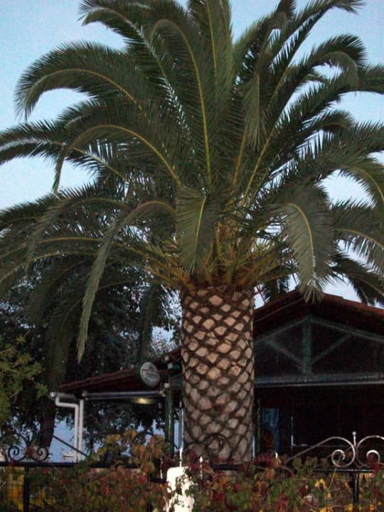 Eingangsbereich Hotel Albatros