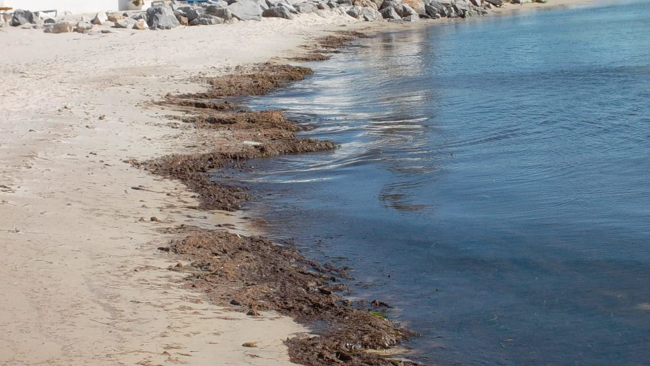 Dreckiger Strand Royal Lido Resort & Spa