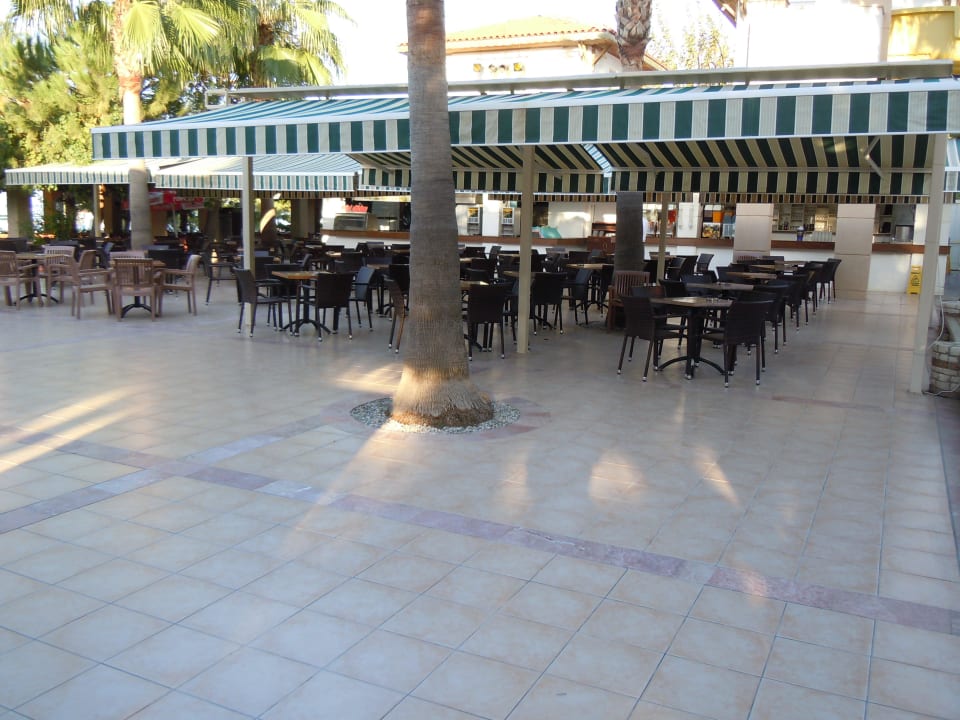 Snackbar Trendy Palm Beach (Adults Only, 16+)