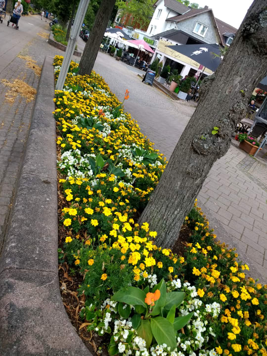 Außenansicht Göbel's Hotel Quellenhof