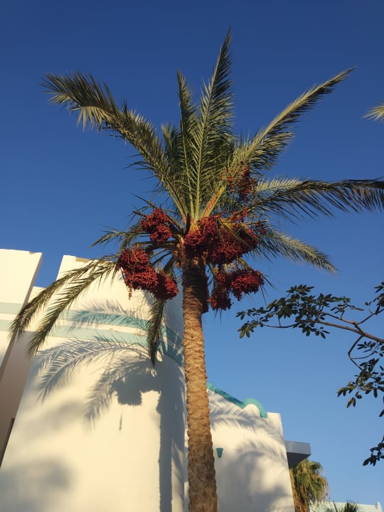 Außenansicht Mirage Bay Resort & Aqua Park