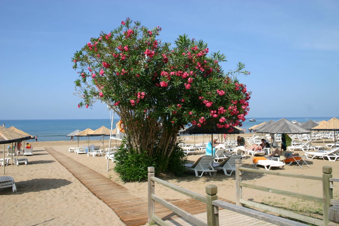 Strandzugang Hotel Defne Star