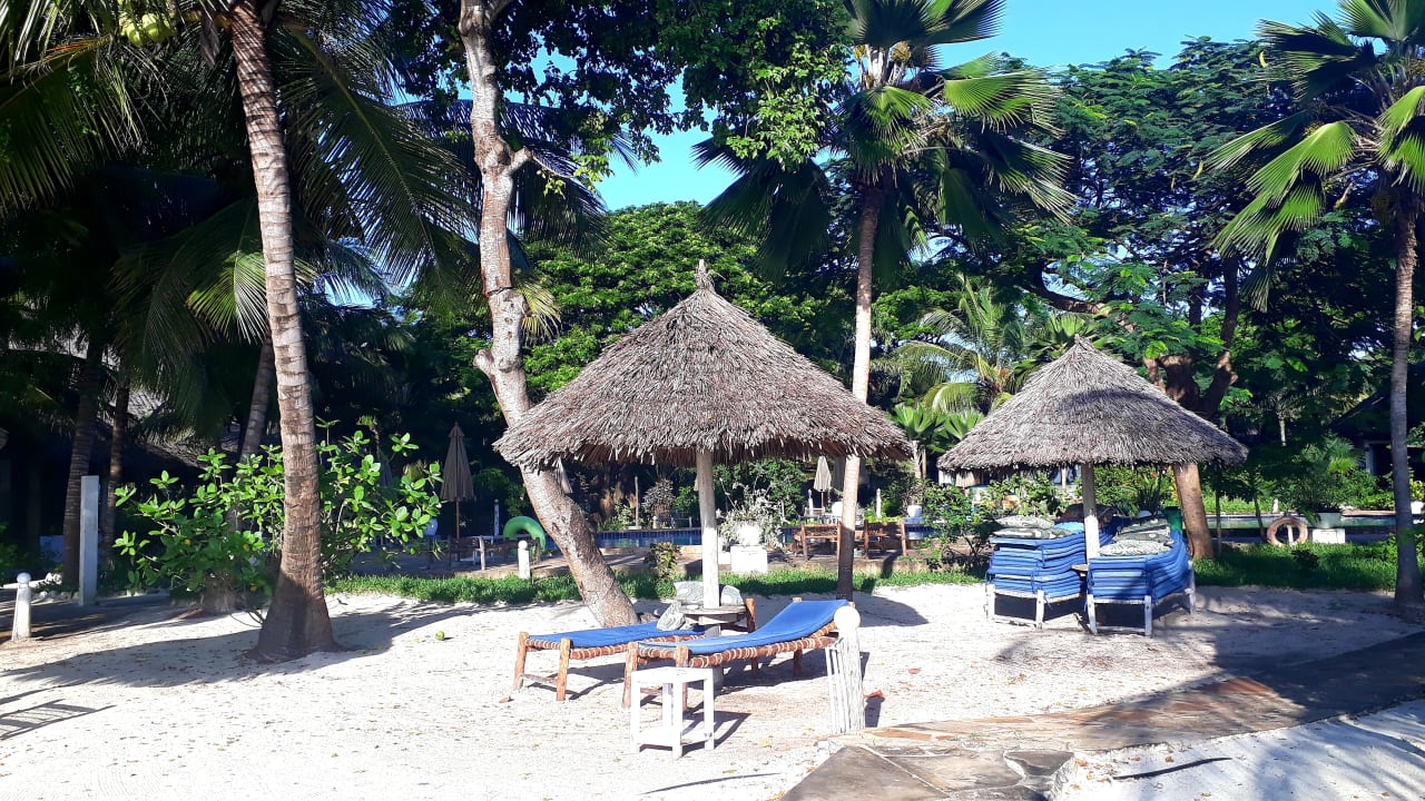 Gartenanlage Spice Island Hotel & Resort