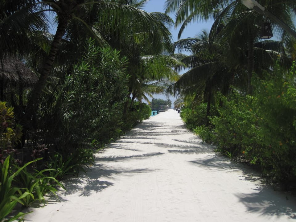 Blick zum Jetty Kuredu Island Resort & Spa