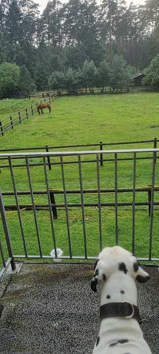 Außenansicht Ferienhof Zur Alten Fuhrmanns-Schänke