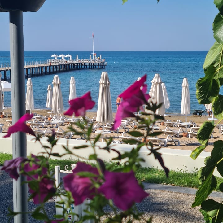 Strand PALOMA Perissia