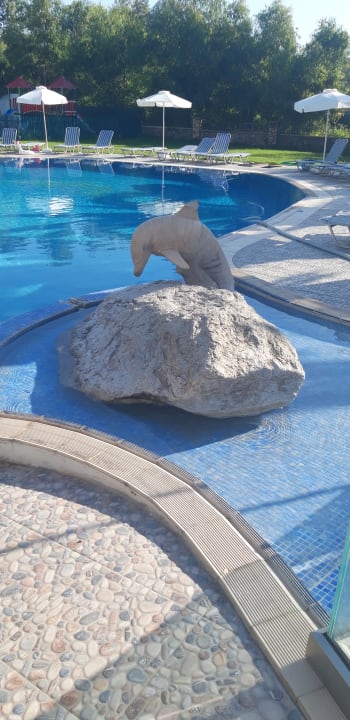 Pool Ekaterini Hotel