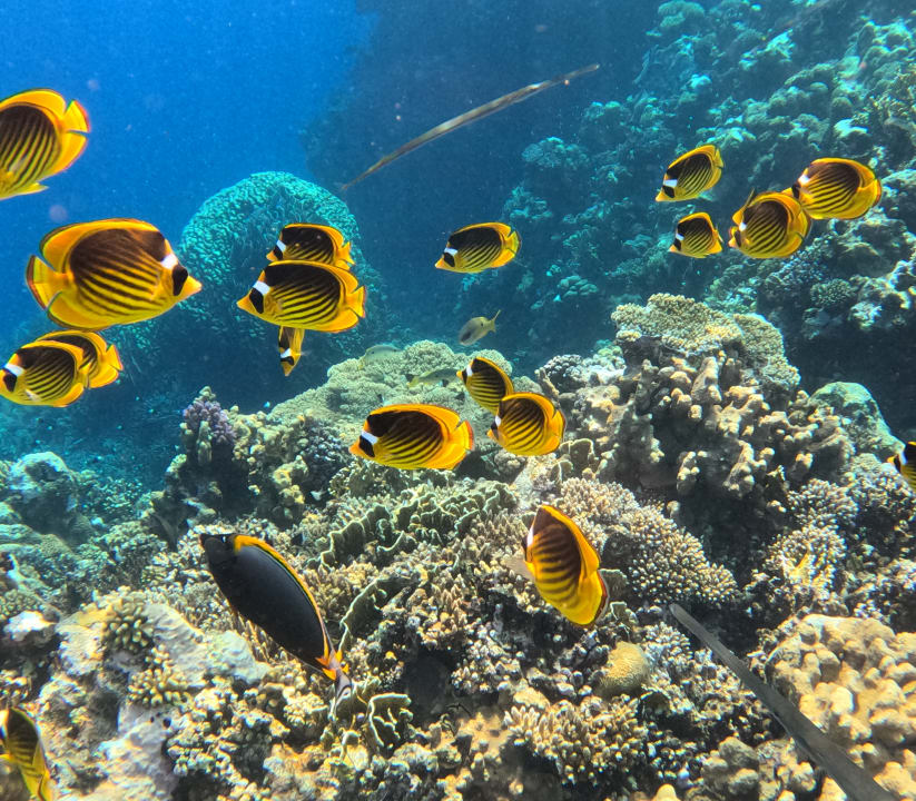 Sport & Freizeit Three Corners Happy Life Beach Resort