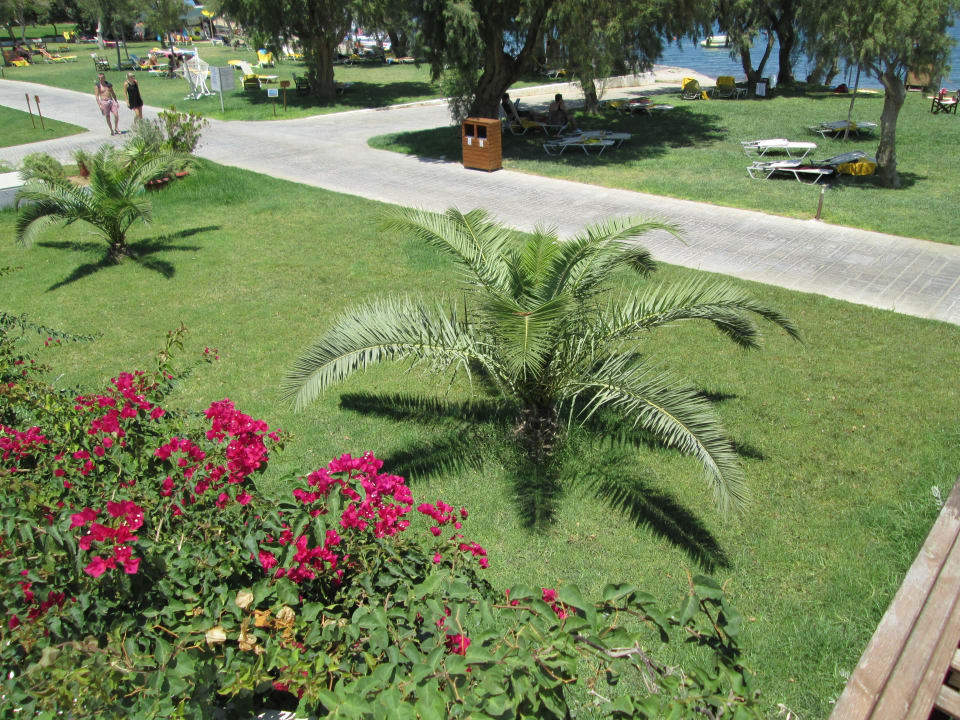 Der schöne Garten TUI BLUE Oceanis Beach and Spa Resort