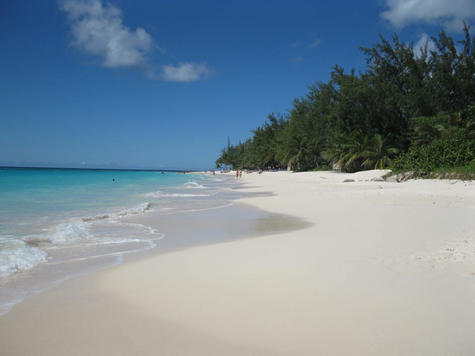 Bilderbuchstrand am Hotel Hotel Bougainvillea Beach Resort
