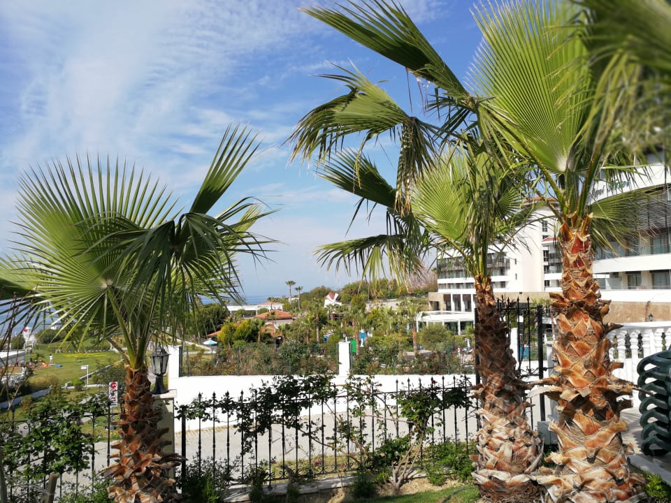 Gartenanlage Alba Queen Hotel