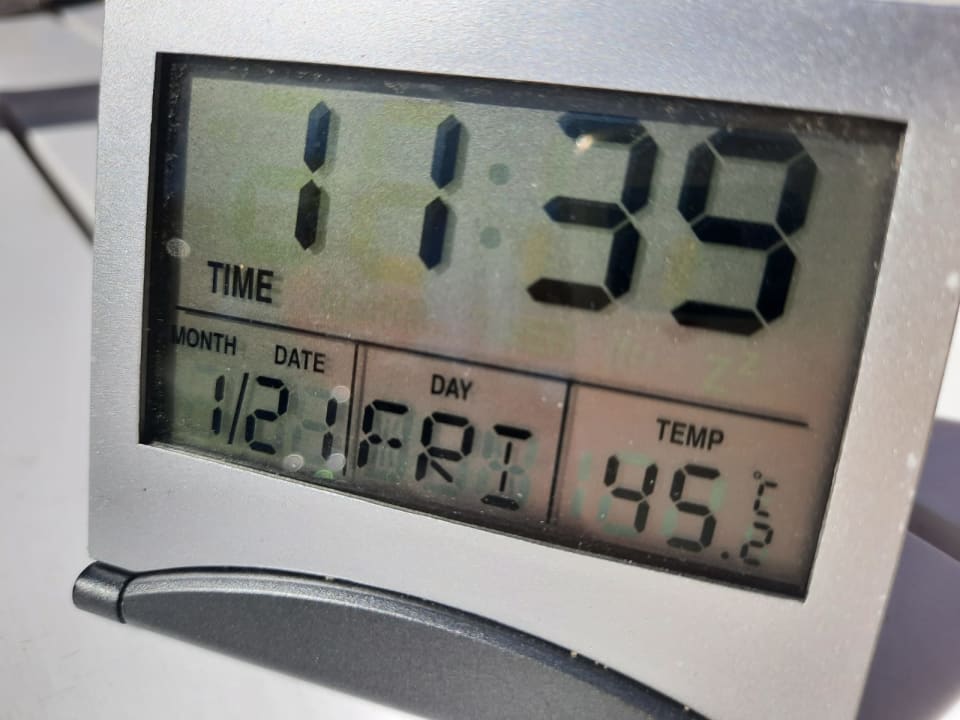 Sonstiges Desert Rose