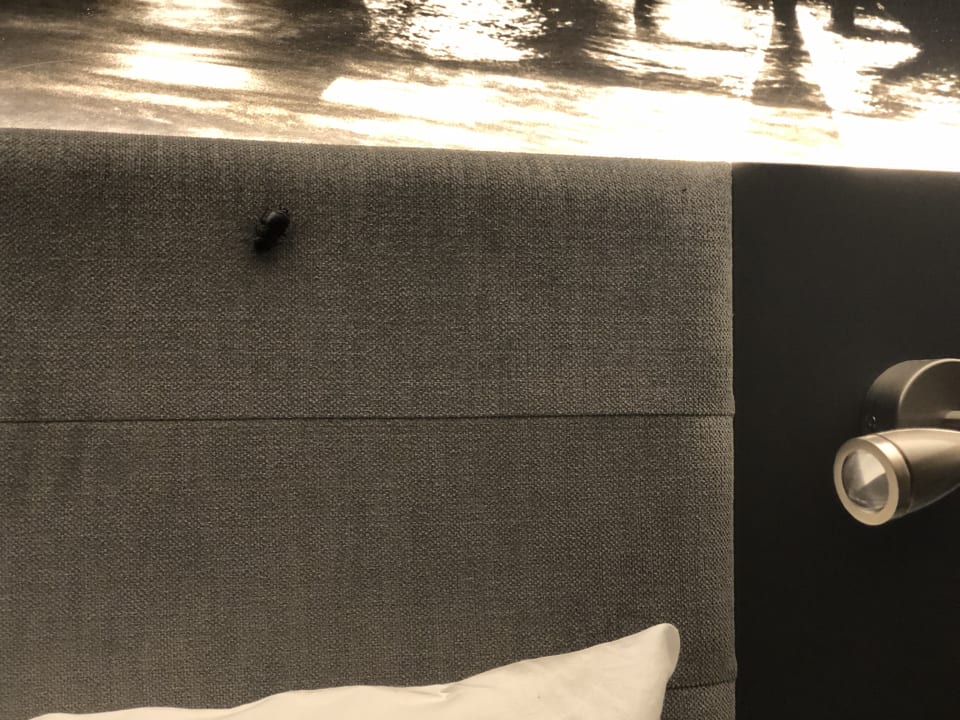 Zimmer Tulip Inn Ludwigshafen City