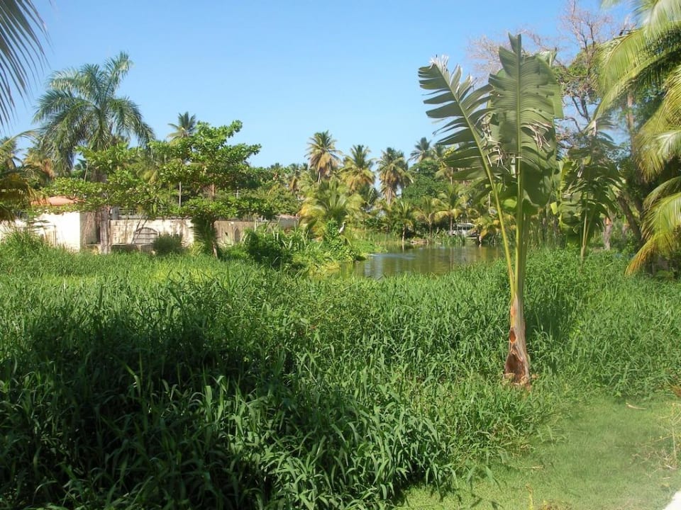 Gartenanlage_2 Villas Bavaro Resort & Spa