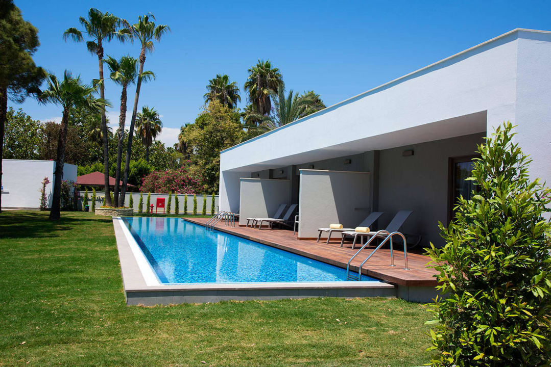 Swim Up Acanthus Cennet Barut Collection