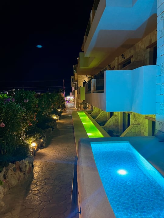 Gartenanlage Cactus Royal