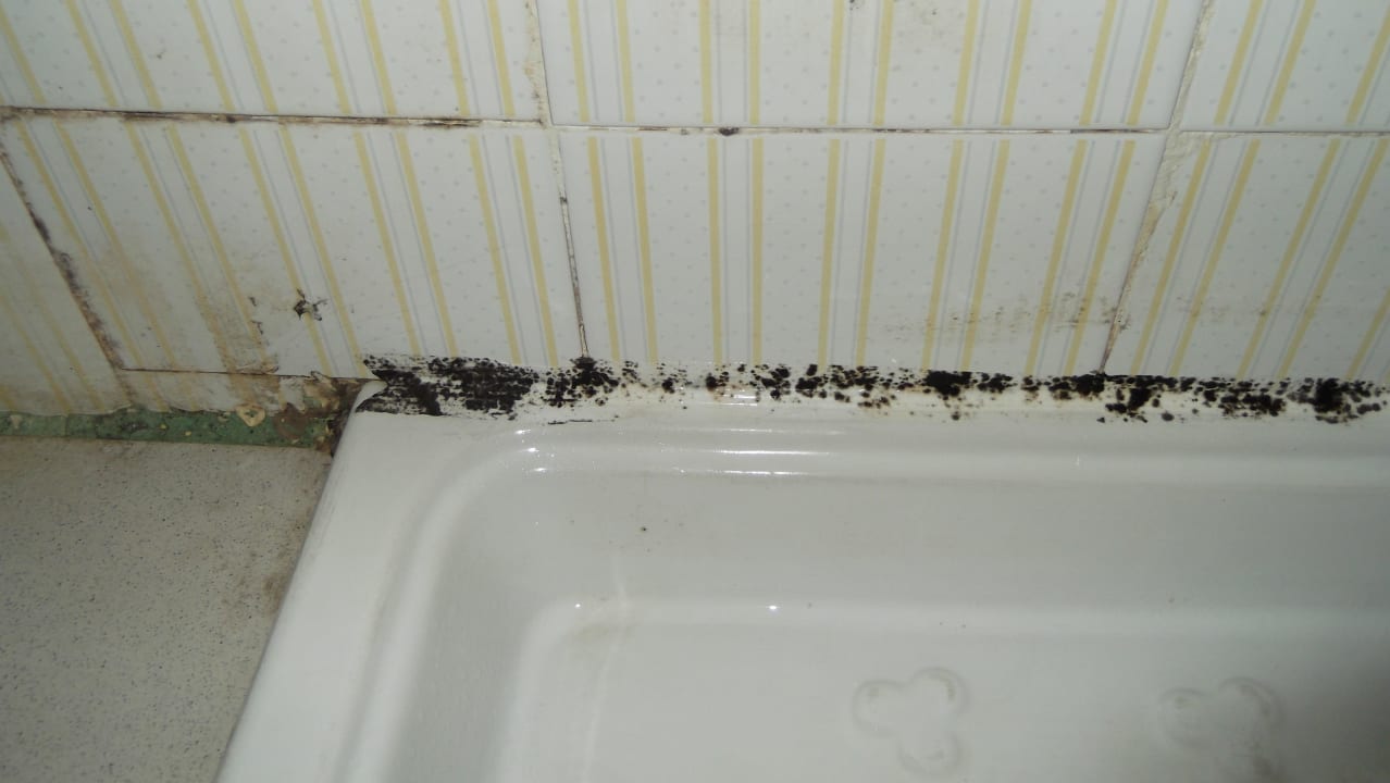 Bad Hotel Kleopatra Alis