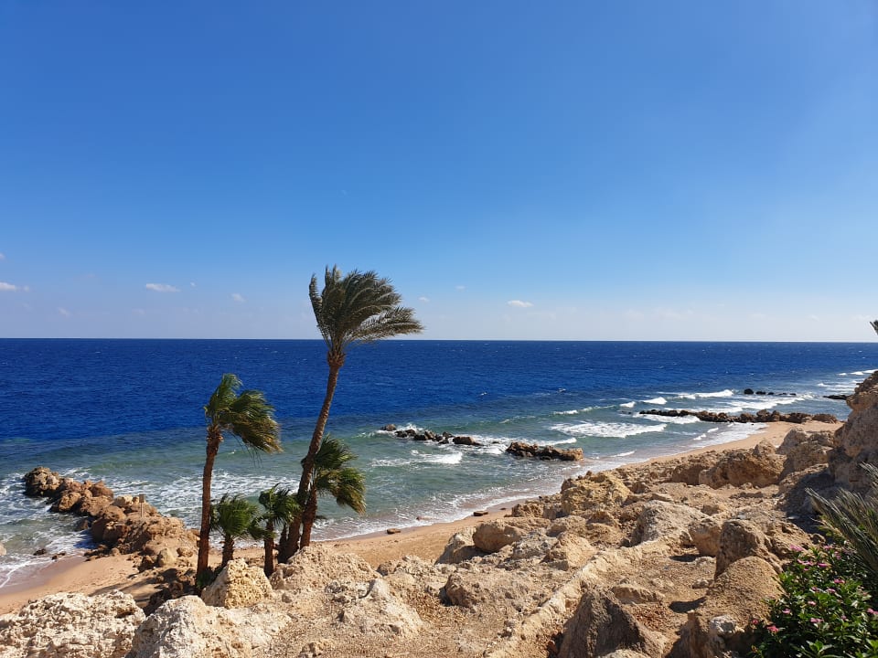 Strand Pickalbatros Citadel Resort