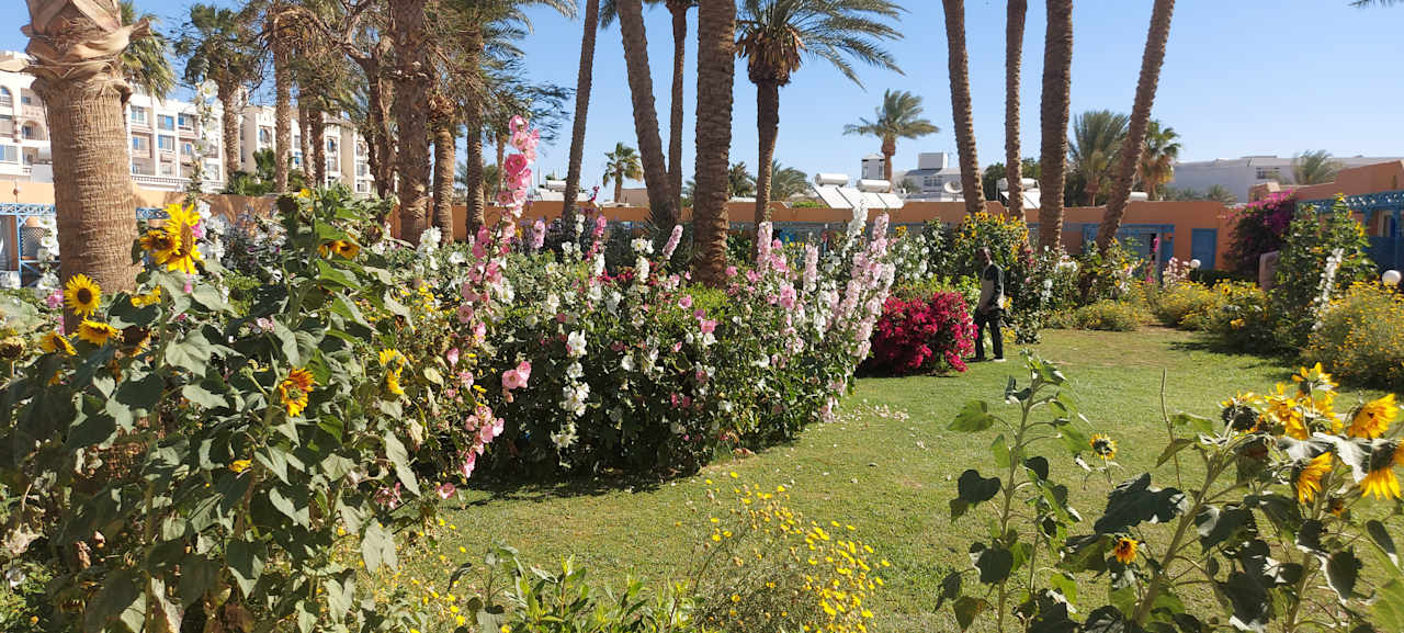 Gartenanlage Giftun Azur Resort