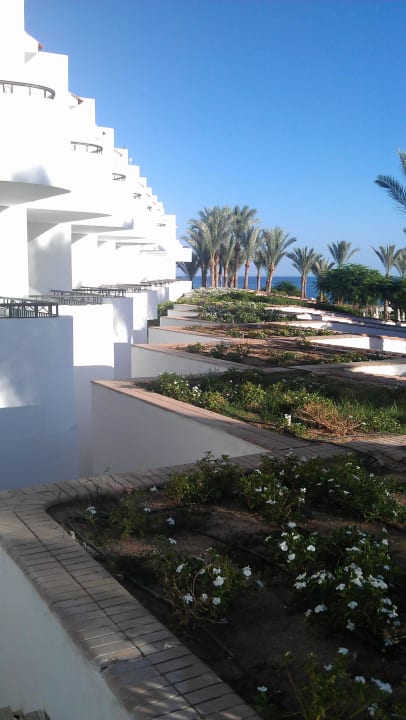 Meerblick JAZ Fanara Resort