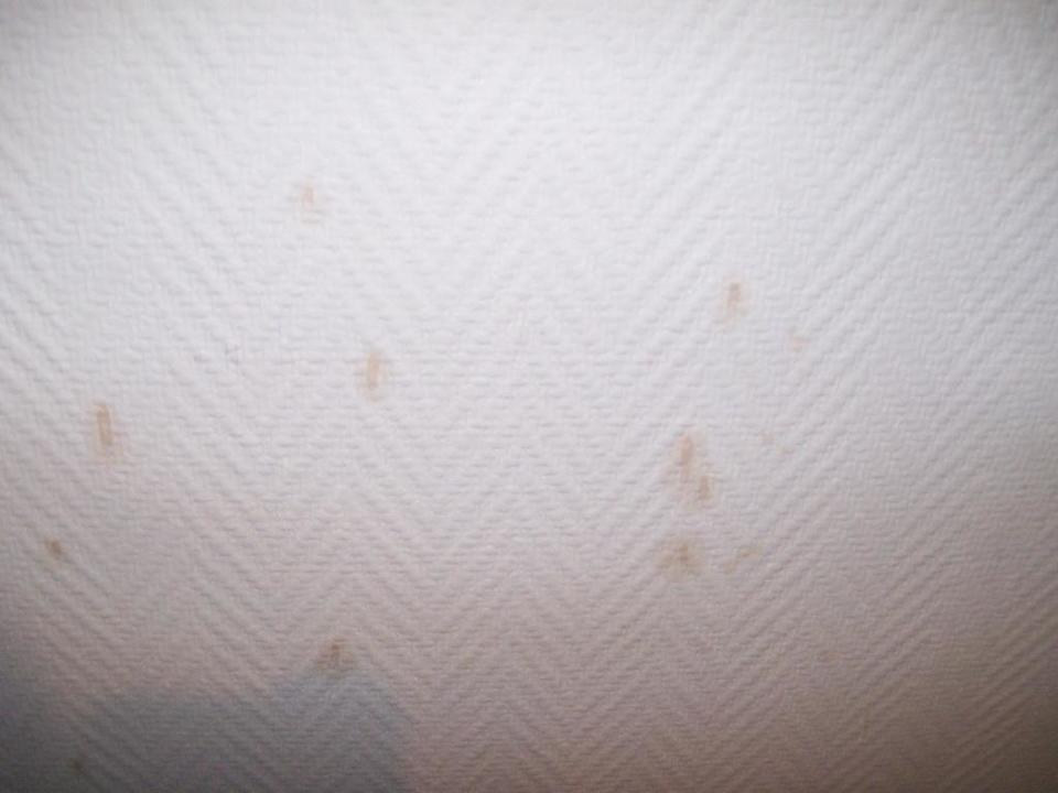 Wand PLAZA INN Hamburg Moorfleet