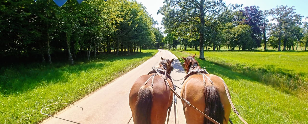 Sport & Freizeit Bauernhof Edmeierhof