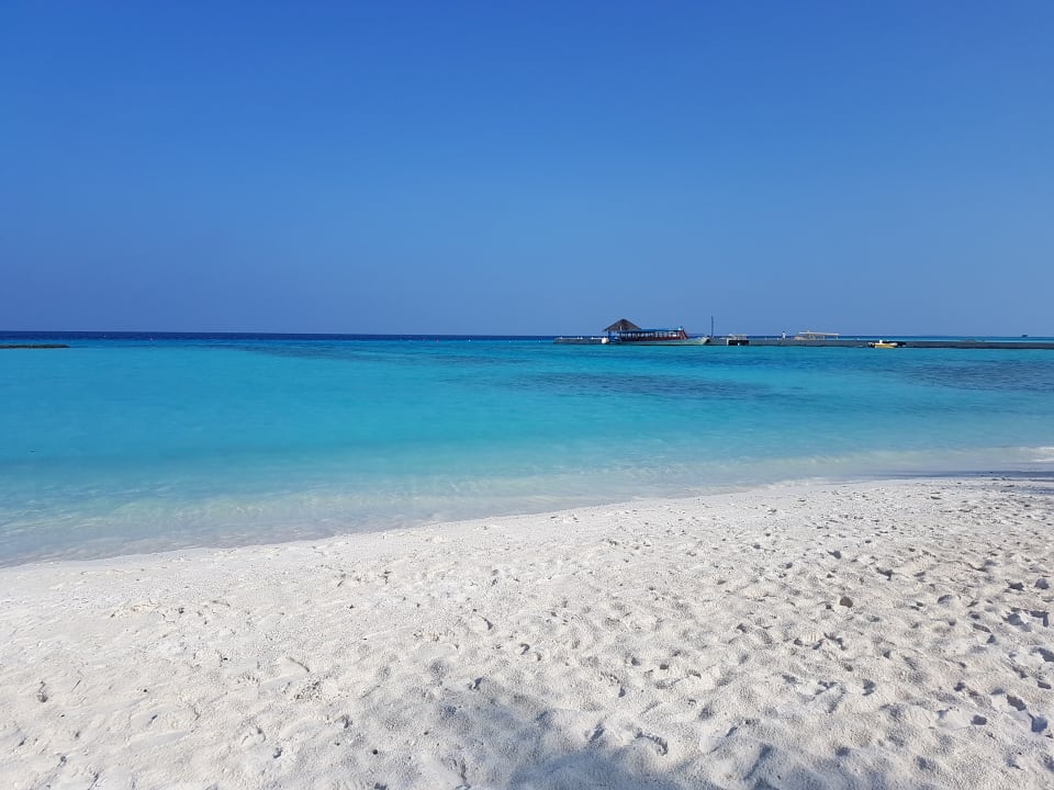 Strand Summer Island Maldives