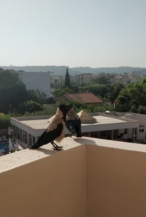 Ausblick Ialyssos Bay