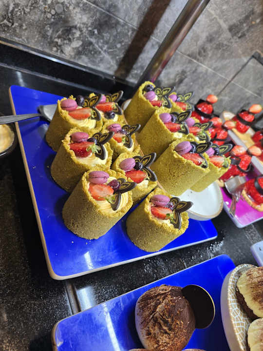 Gastro Seashell Vega