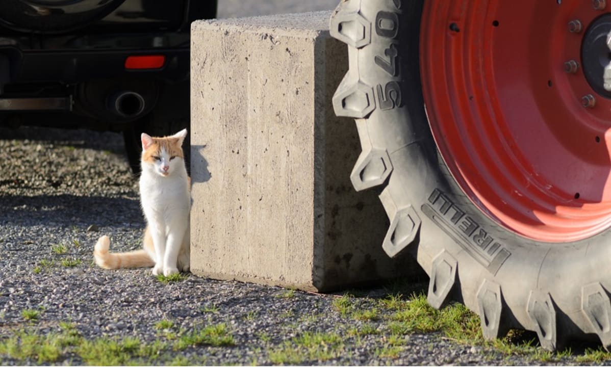Sonstiges Hofgut Ratzenberg