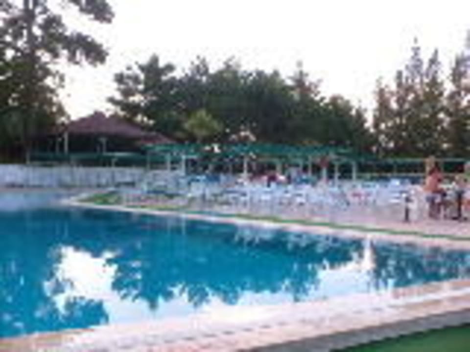 Pool Club Sidelya Hotel