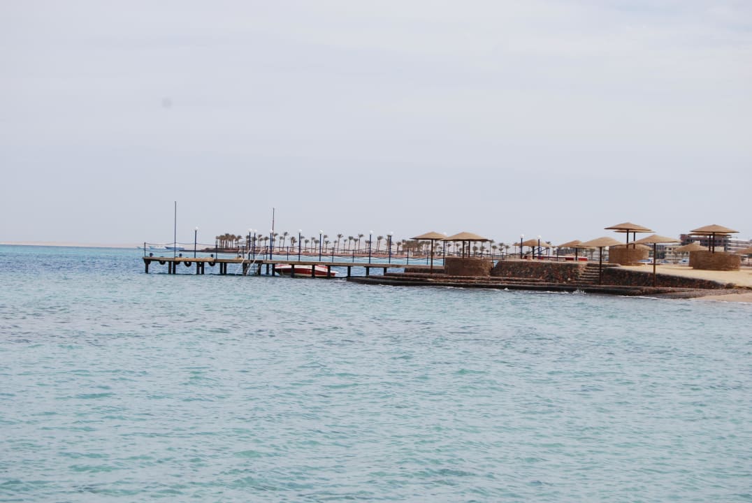 Strand Sea Star Beau Rivage