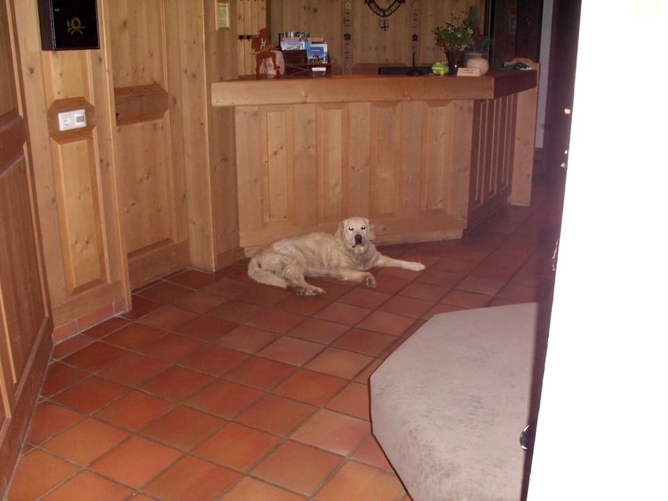 Rezeption Natur-Residenz Anger Alm