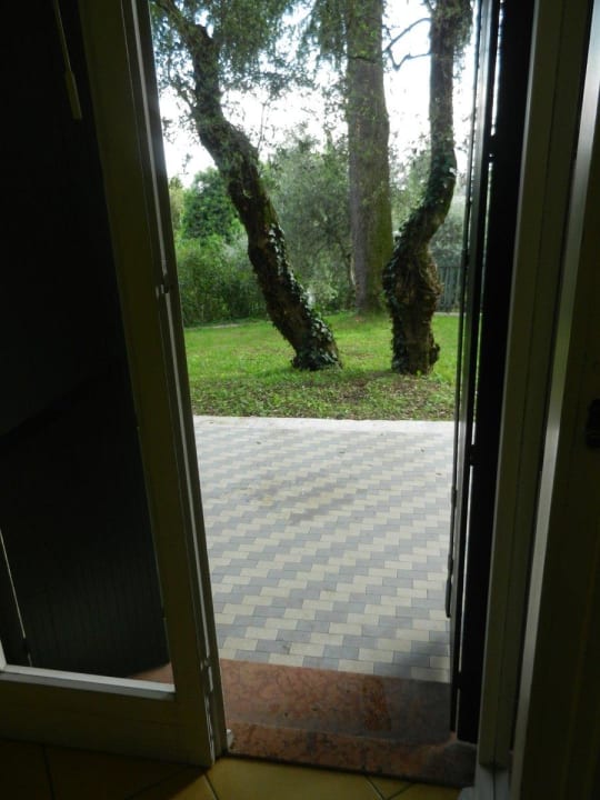 Olivenbäume vor dem Zimmer Hotel Marco Polo