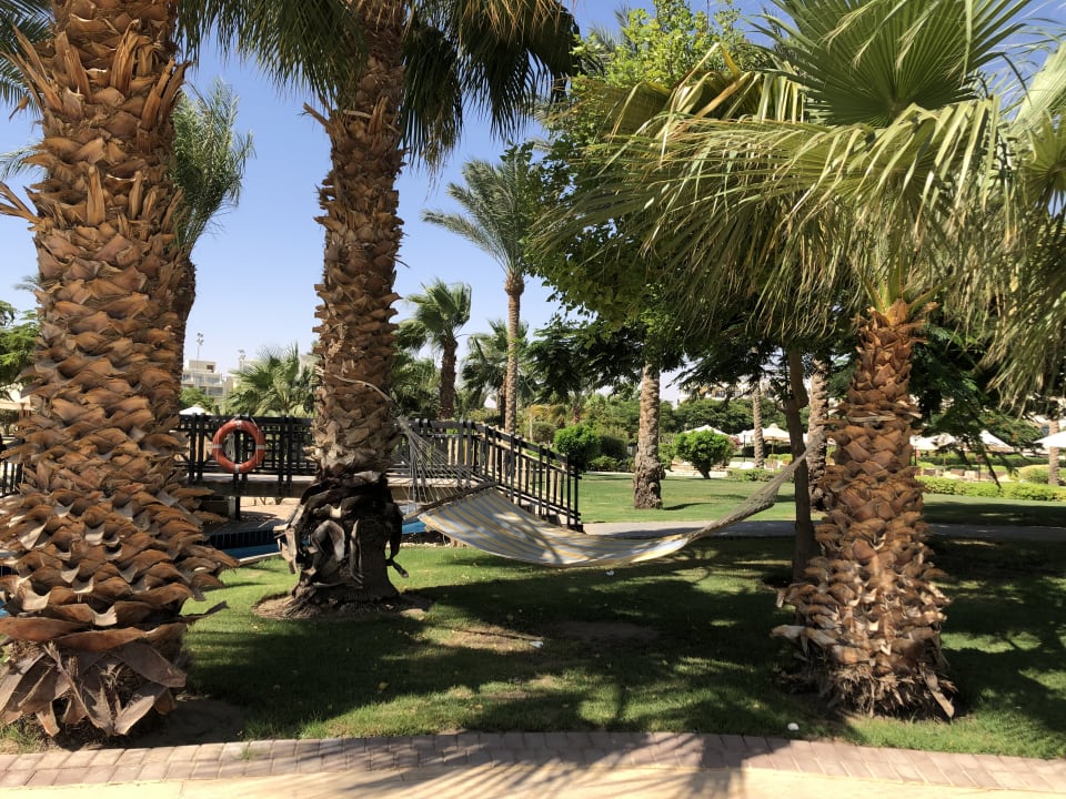 Gartenanlage Steigenberger ALDAU Beach Hotel