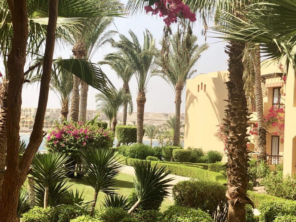 Ausblick Steigenberger Coraya Beach - Adults only