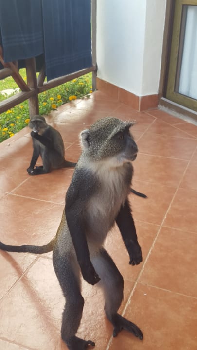 Sonstiges Neptune Village Beach Resort & Spa