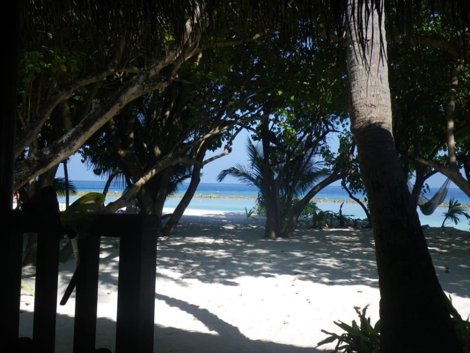 Bungalow 147 Kuramathi Maldives