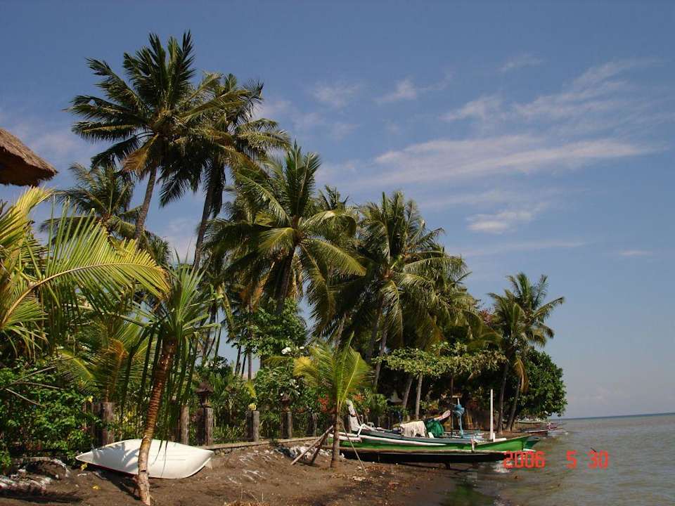 Der Strand von Lovina Aditya Beach Resort Lovina