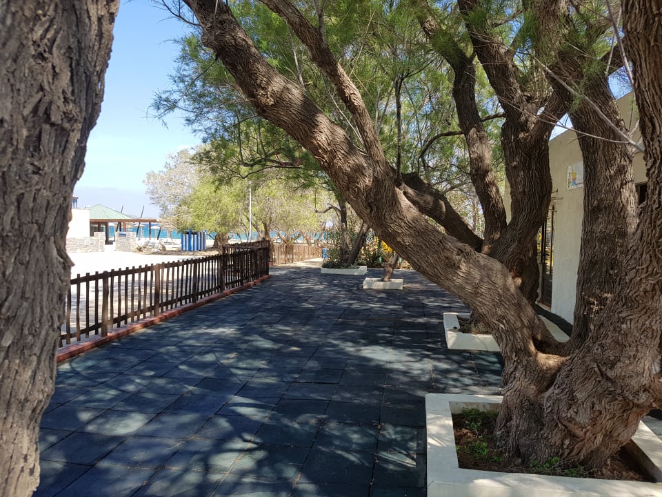 Sport & Freizeit Apollonia Beach Resort & Spa